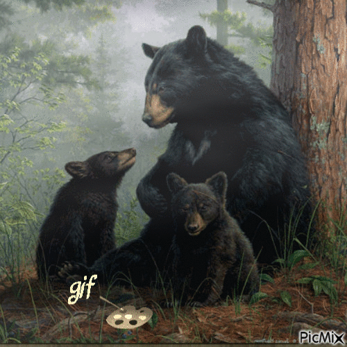 oso - GIF animado gratis
