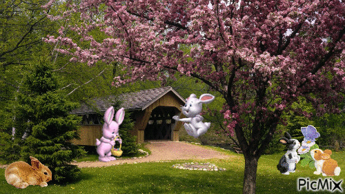 Bunny Patch - Free animated GIF