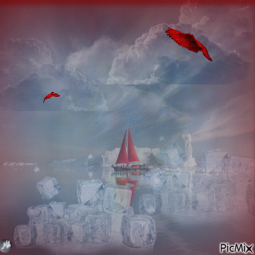 Rojo rodeado de hielo - Zdarma animovaný GIF