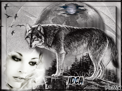 Loup noir et lune - Besplatni animirani GIF
