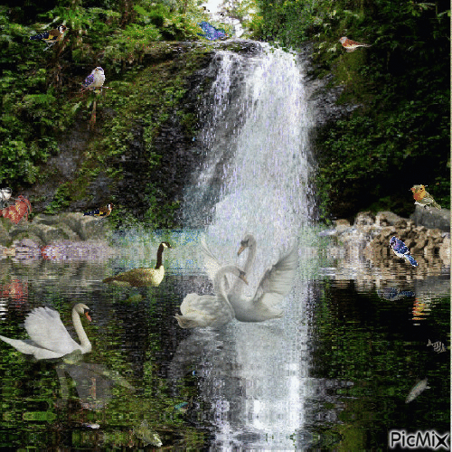 A la cascade - Darmowy animowany GIF
