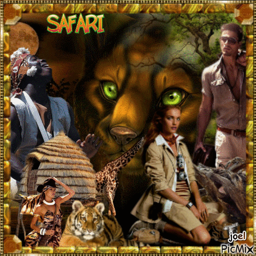 safari - Zdarma animovaný GIF