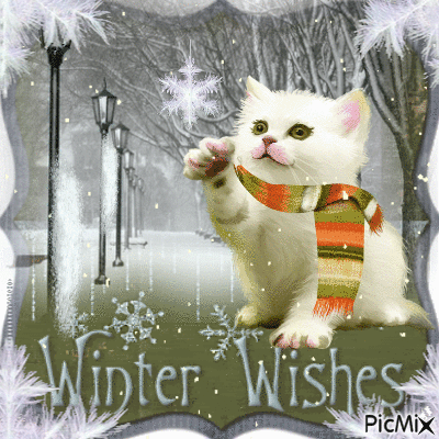 cat in winter - GIF animé gratuit