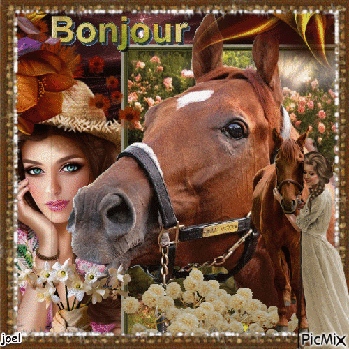 cheval bonjour - 無料のアニメーション GIF