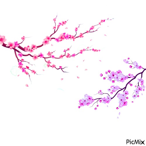 pink and purple sakura - фрее пнг