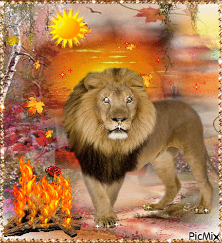 le lion et le feu - Gratis geanimeerde GIF