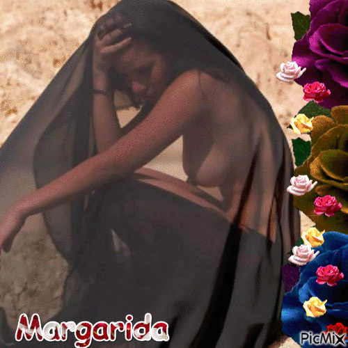 margarida - Δωρεάν κινούμενο GIF