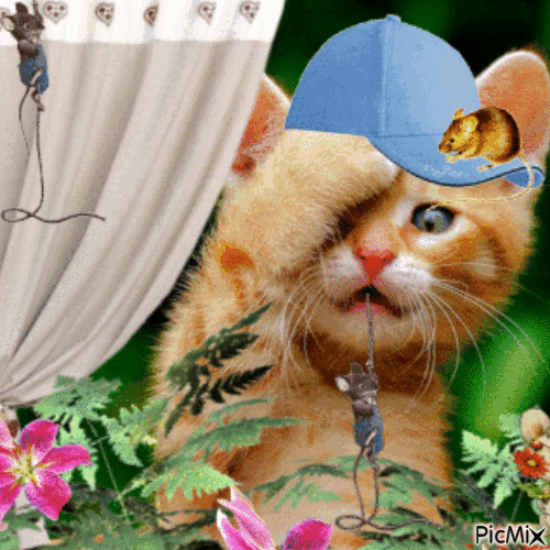 Mon petit chat - Zdarma animovaný GIF