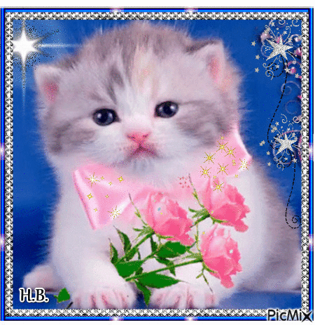 Flower cat. - Ingyenes animált GIF