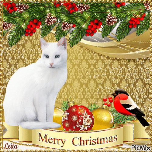 Merry Christmas. Cat and bird