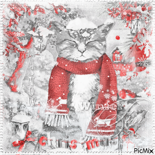 Cat Winter-Christmas