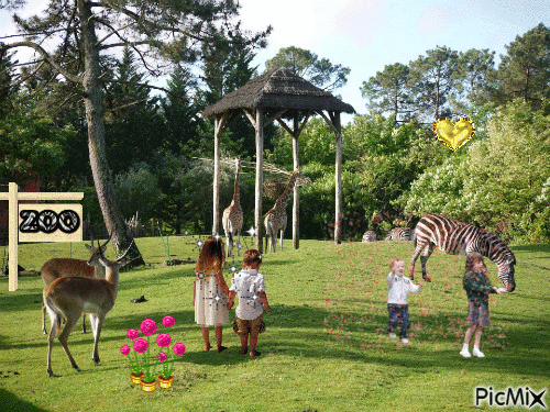 zoo - GIF animé gratuit