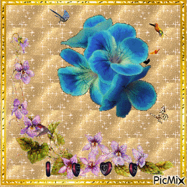 Virágok madarak - Безплатен анимиран GIF