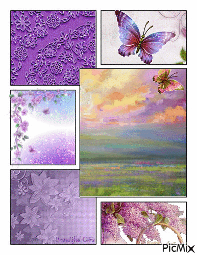 Purple Collage - 無料のアニメーション GIF