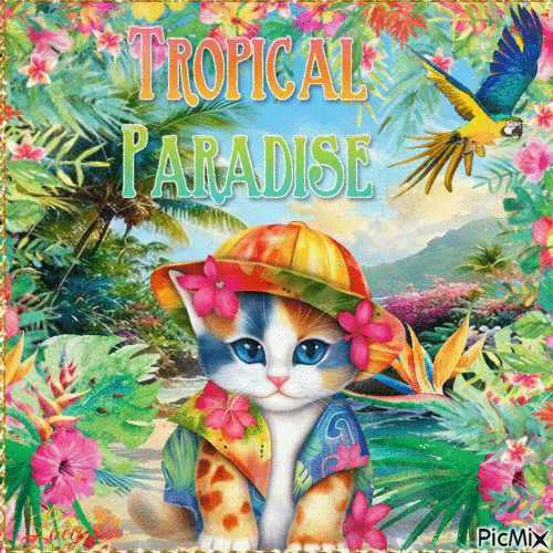 tropical chat - GIF animate gratis