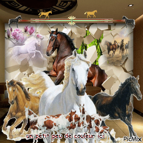 cheval - Free animated GIF
