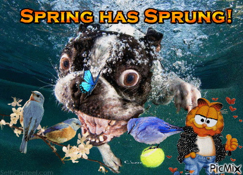 Spring has Sprung! - Ilmainen animoitu GIF