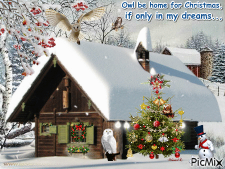 HOME FOR CHRISTMAS OWLS - GIF animado gratis