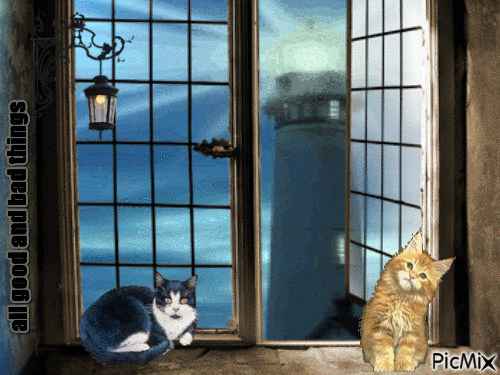 cat lighthouse - GIF animé gratuit