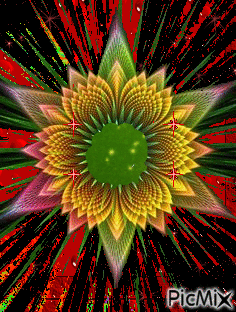 Estrella flor - Ingyenes animált GIF