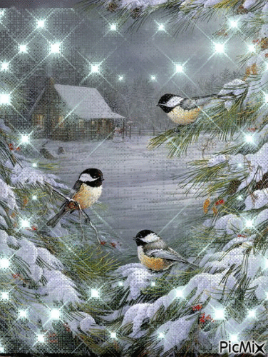 aves - Ingyenes animált GIF