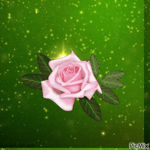 rosa - Δωρεάν κινούμενο GIF