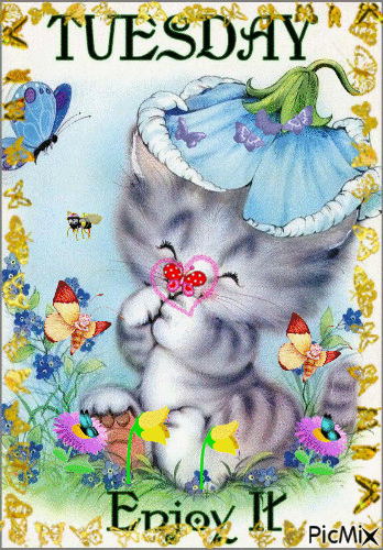 TUESDAY ENJOY. BUTTERFLIES GOING IN AND OUT OF FLOWERS,, BLUEFLOWERS, AND A BIG BLUE BUTTERFLY, BUTTERFLIES FLYING AROUND CATS HEAD, A BUTTERFLY DRAWING A HEART AROUND THE KITTENS NOSE, AND GOLD BUTTERFLY WINGS. - GIF animate gratis