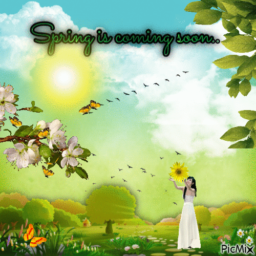 Spring s coming soon - Free animated GIF