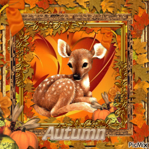 Animal de otoño en marcos - GIF animé gratuit