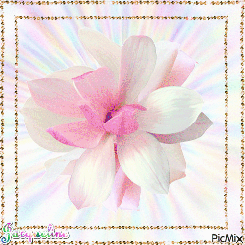 magnifique fleur - GIF animé gratuit