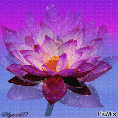 lotus - GIF animé gratuit