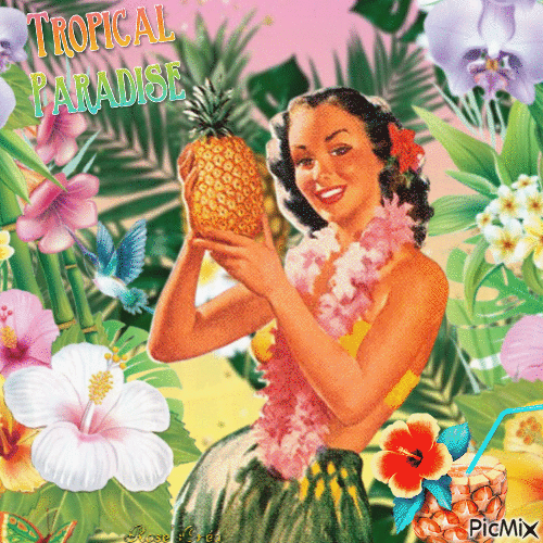 Concours : Ananas tropical - GIF animate gratis