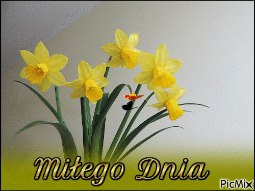 wiosna - Ingyenes animált GIF