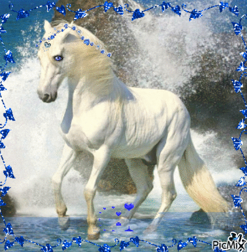 Concours "le plus beau des chevaux" - Ingyenes animált GIF