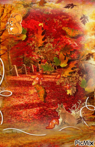 Fall. - GIF animado gratis