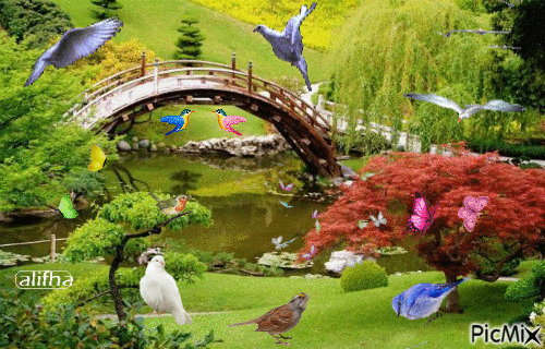 beauté de la nature - Ingyenes animált GIF