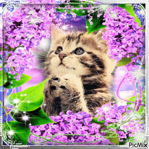 Lovely gif from my friend Susi thank you very much - Ingyenes animált GIF