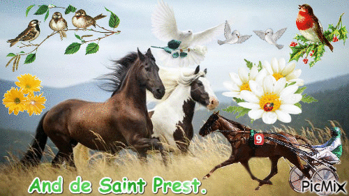 Le champion And de Saint Prest. - Бесплатный анимированный гифка