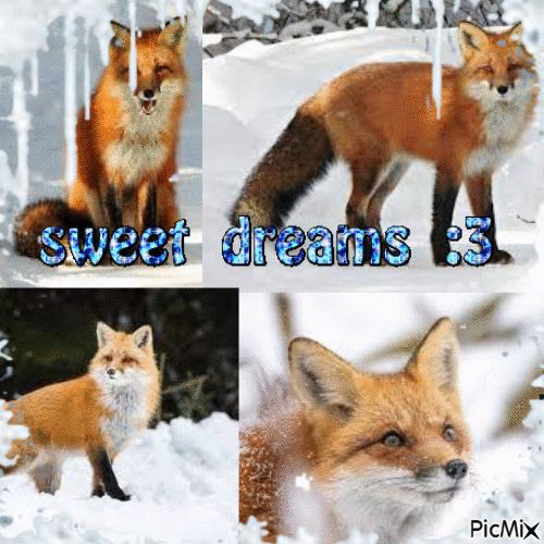 Fox Sweet dreams Snow - GIF animé gratuit