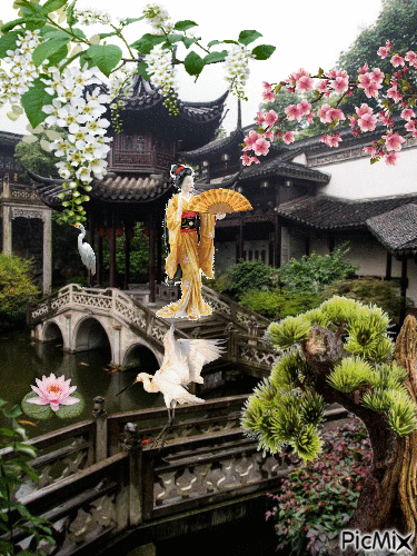 oriental garden - GIF animé gratuit