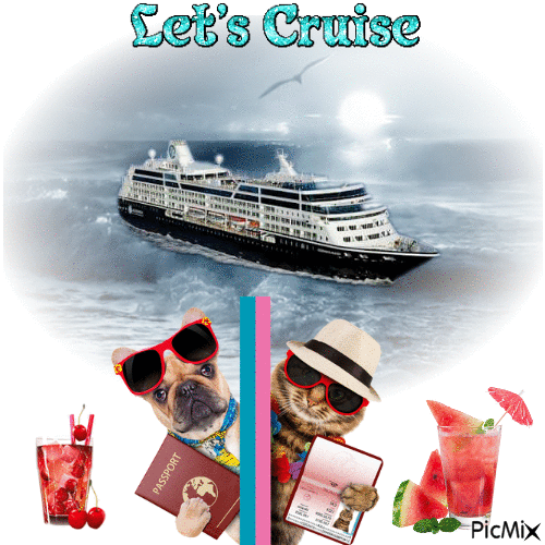 Catcation An Dogcation....Lets Cruise - GIF animé gratuit