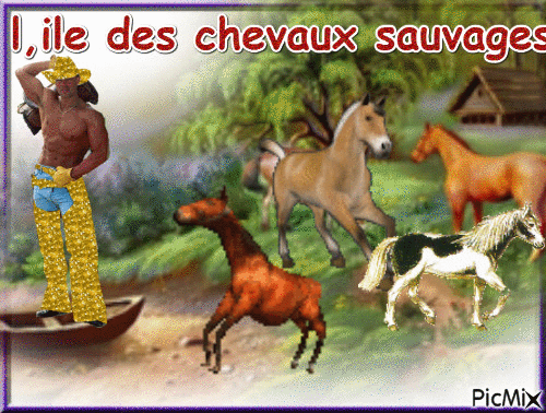 l,ile  des chevaux sauvages - Bezmaksas animēts GIF