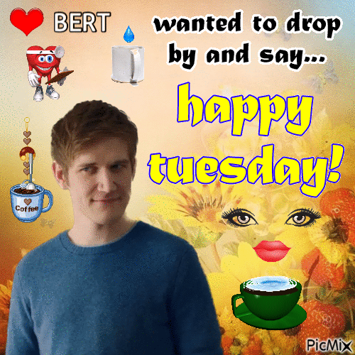 happy Tuesday Bert - Free animated GIF