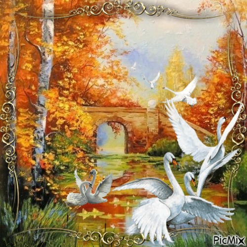 Swans - PNG gratuit