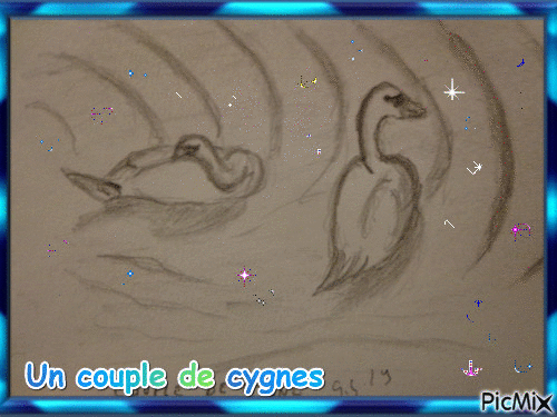 Un couple de cygnes dessin fait par Gino Gibilaro - Ingyenes animált GIF