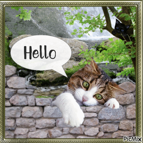 Hello with Pet - Free animated GIF