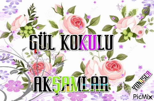AKŞAM - Zdarma animovaný GIF