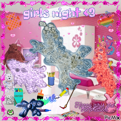 girls night <3 - GIF animado grátis