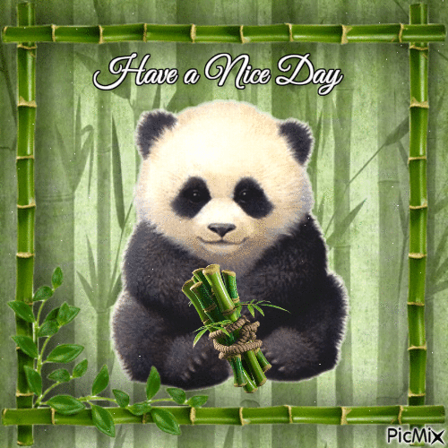 Have a Nice Day Little Panda Bear - Zdarma animovaný GIF