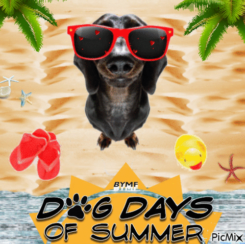 Dog Days of Summer - GIF animé gratuit